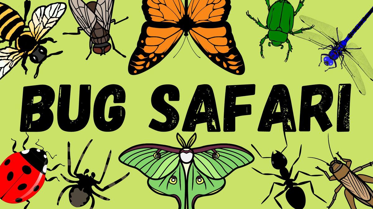 Bug Safari at Fanshawe CA 