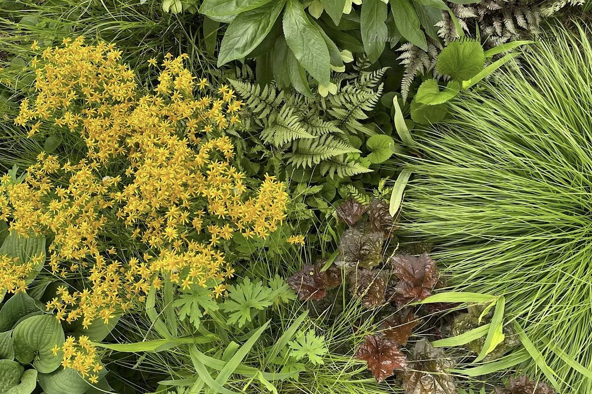 Versatile Plants for a variety of Spaces
