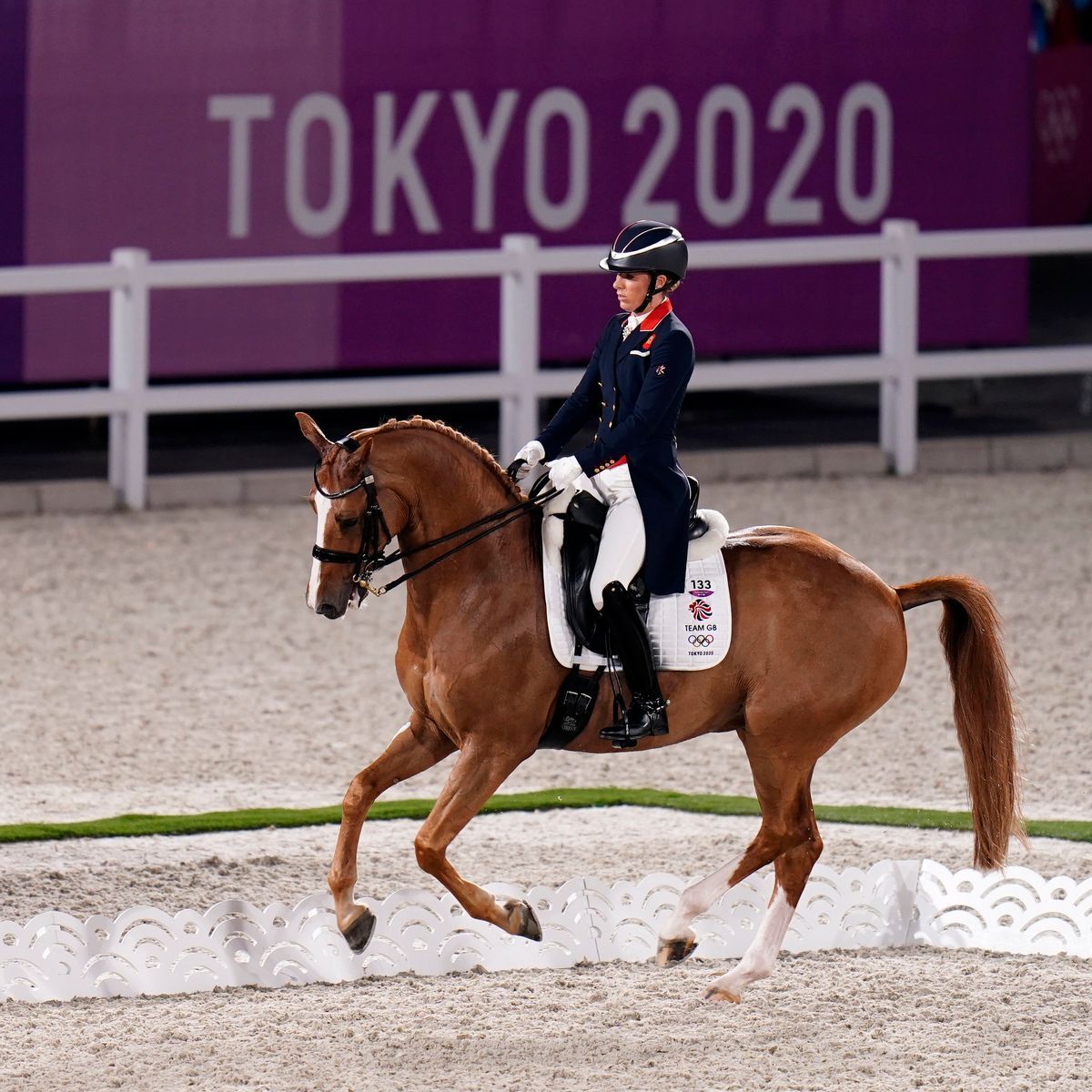 Unaffiliated Dressage