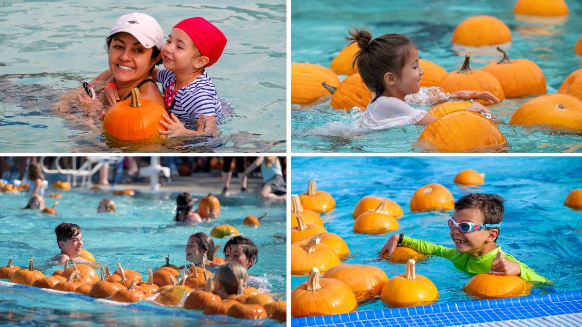 Floating Pumpkin Patch