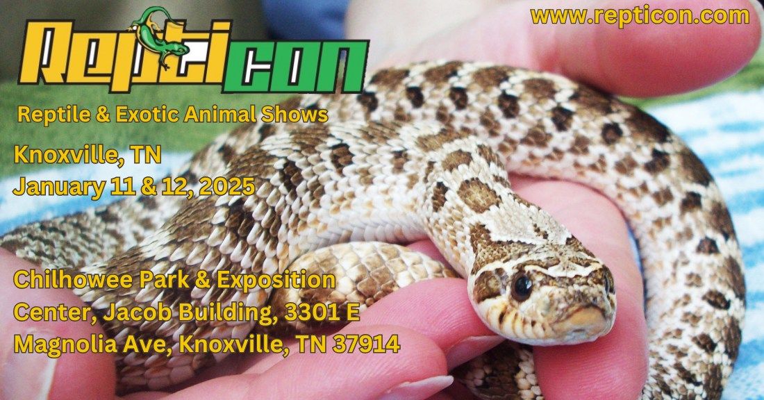 Repticon Knoxville 