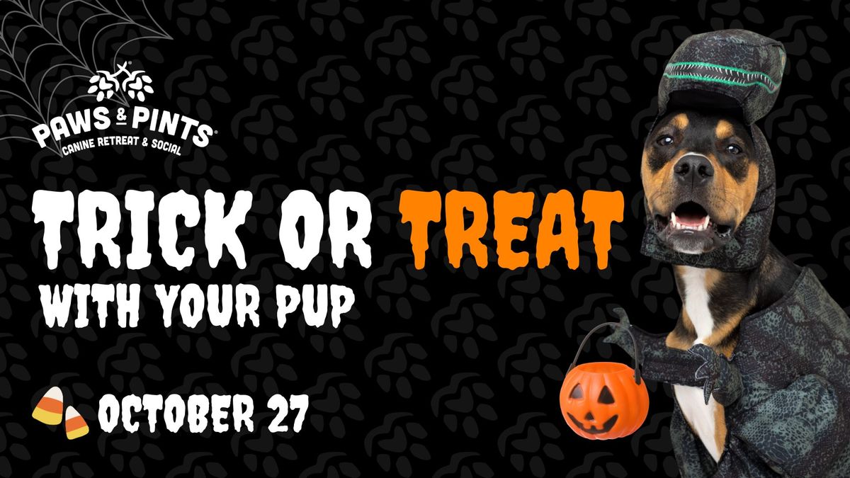 Trick or Treat with Your Pup 