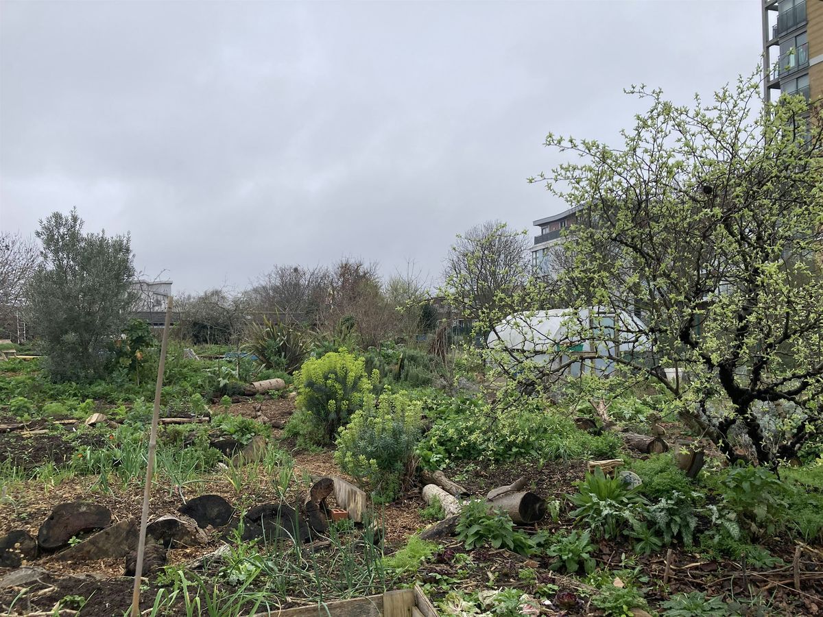 Forest Garden Workshop