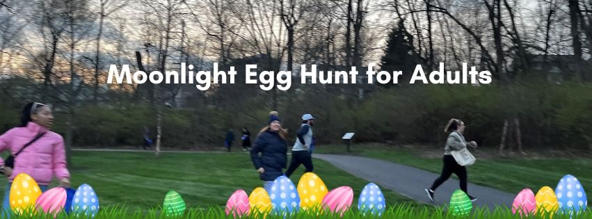 Moonlight Egg Hunt for Adults