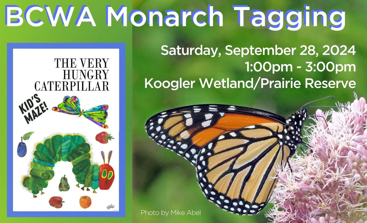 BCWA Monarch Tagging