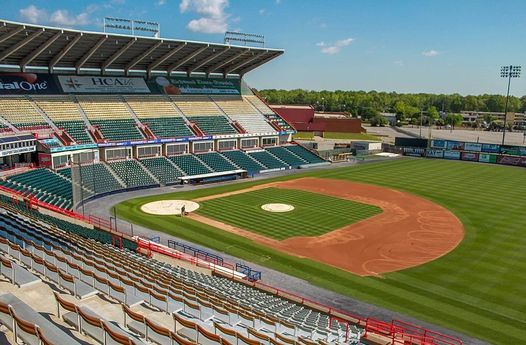 Young Professionals: Networking and Flying Squirrels Game