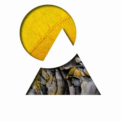 Adventure Therapy Institute