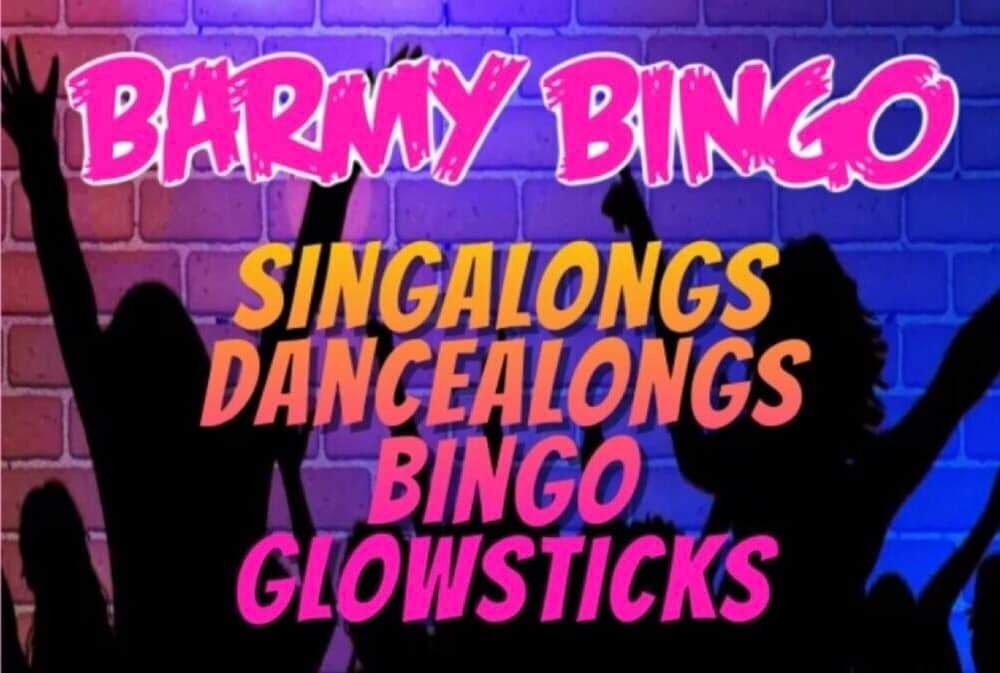 Barmy Bingo Party Night