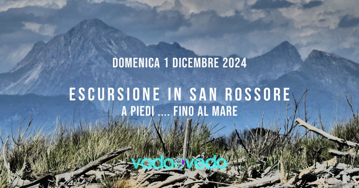 Escursione nella Tenuta di San Rossore ... fino al mare