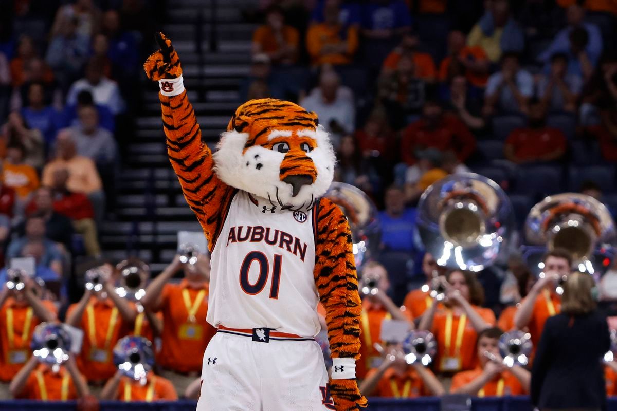 Auburn Tigers at Kentucky Wildcats Womens Volleyball at Memorial Coliseum KY