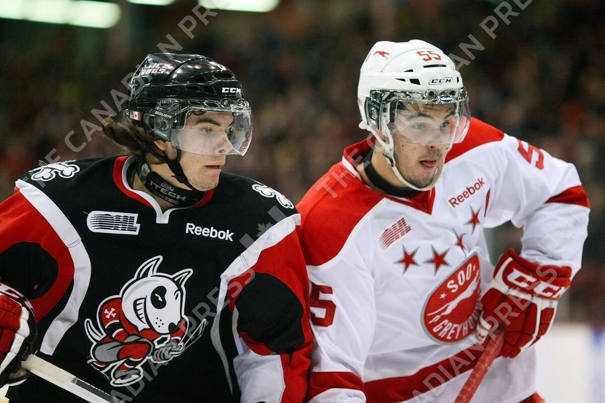 Sault Ste Marie - Soo Greyhounds at Niagara IceDogs at Meridian Centre