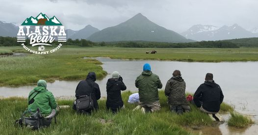 Alaska Bear Photography Workshop June 19th to 25th 2021