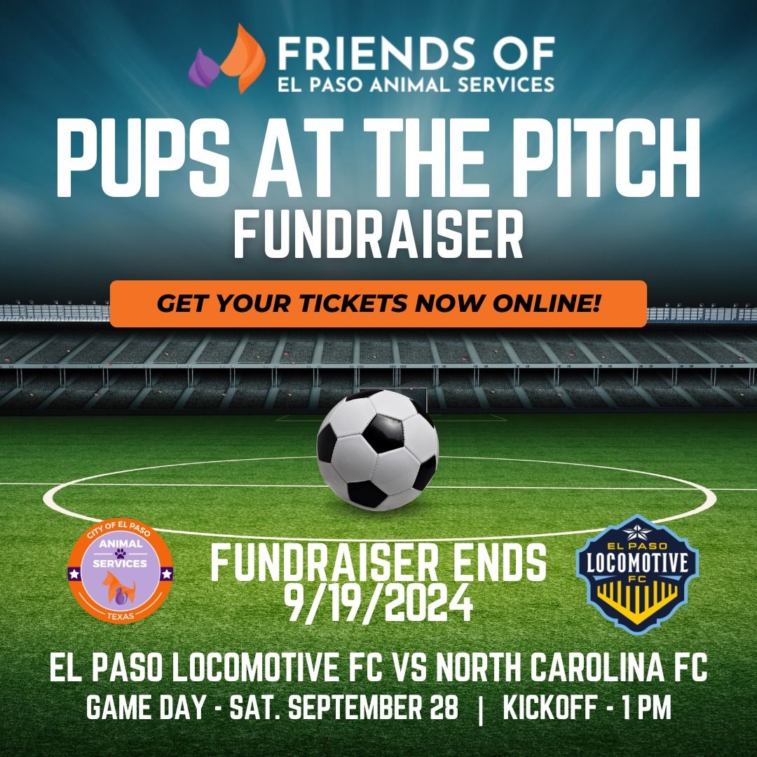 Pups at the Pitch - Adoptions, Microchips, Giveaways & More!