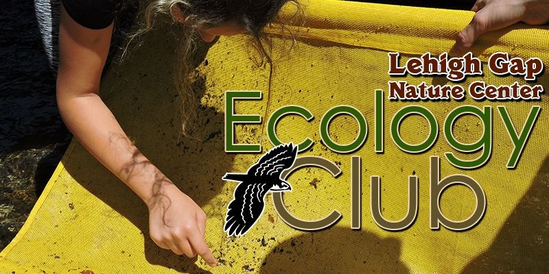 Ecology Club for Kids