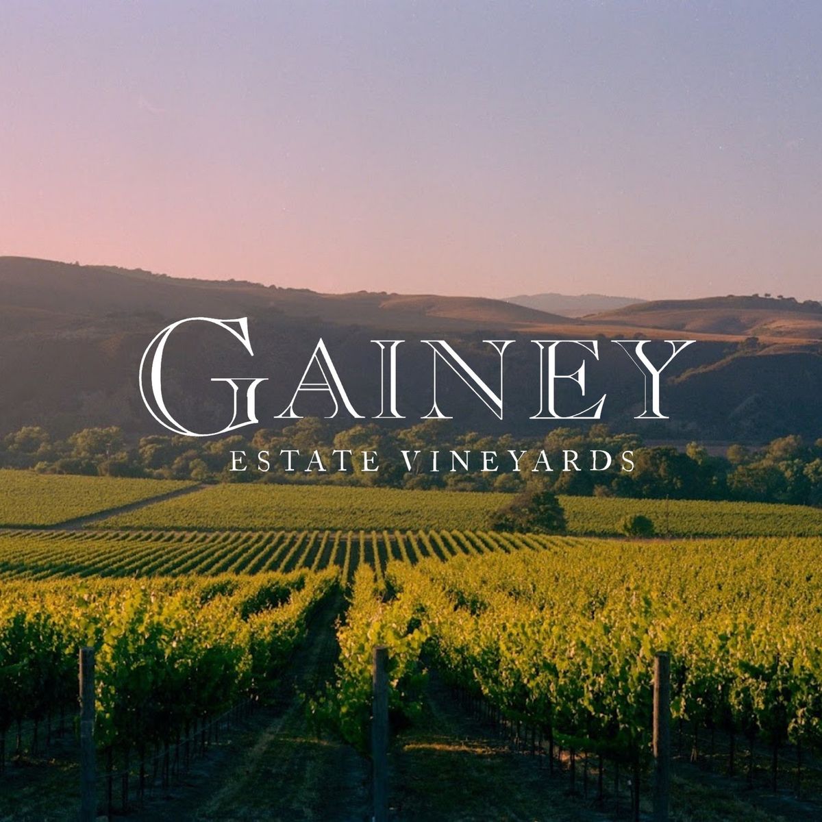 Gainey Vineyards Sip-N-Social | 1\/29