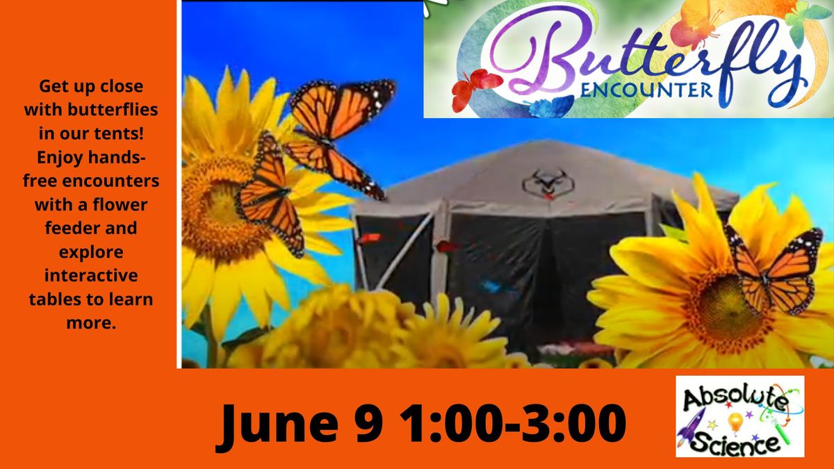 Butterfly Encounter Tents