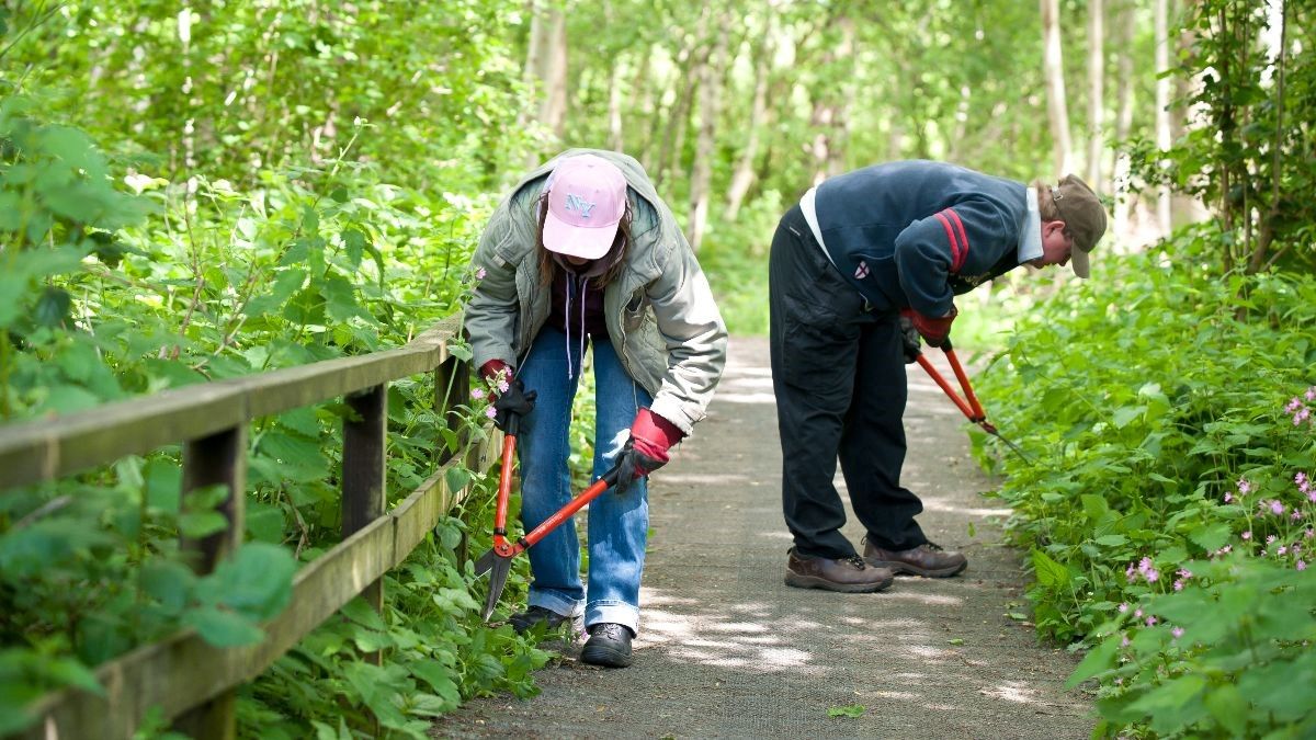 Tuesday Practical Conservation Volunteer Task Days - Potteric Carr