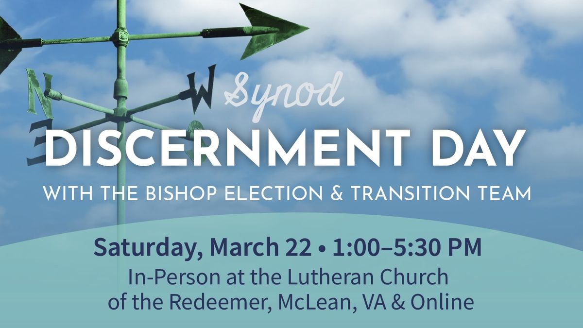 Synod Discernment Day