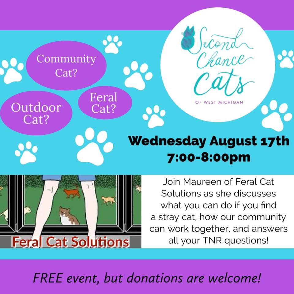 How Can You Help Feral & Outdoor Cats?