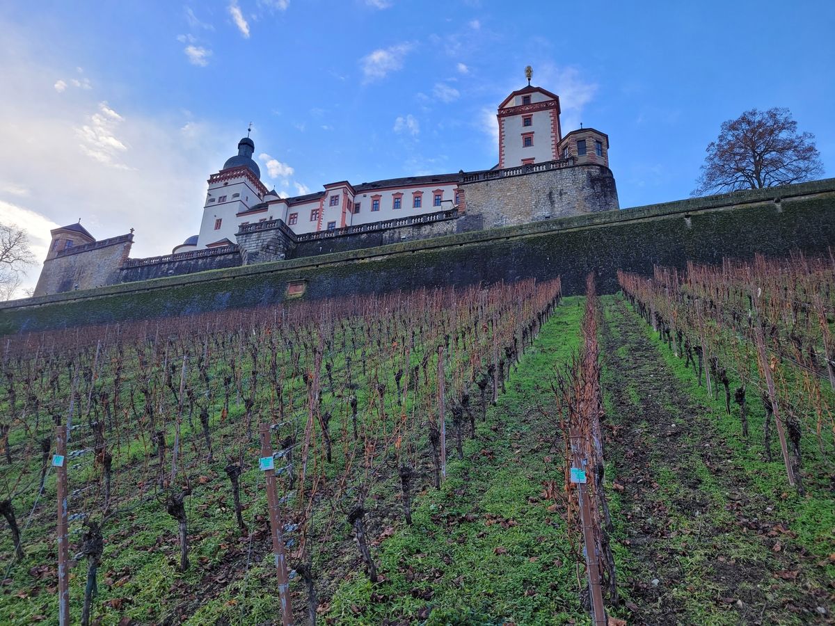 Ausgebucht - Silvaner-Weinspaziergang ab der Festung Marienberg