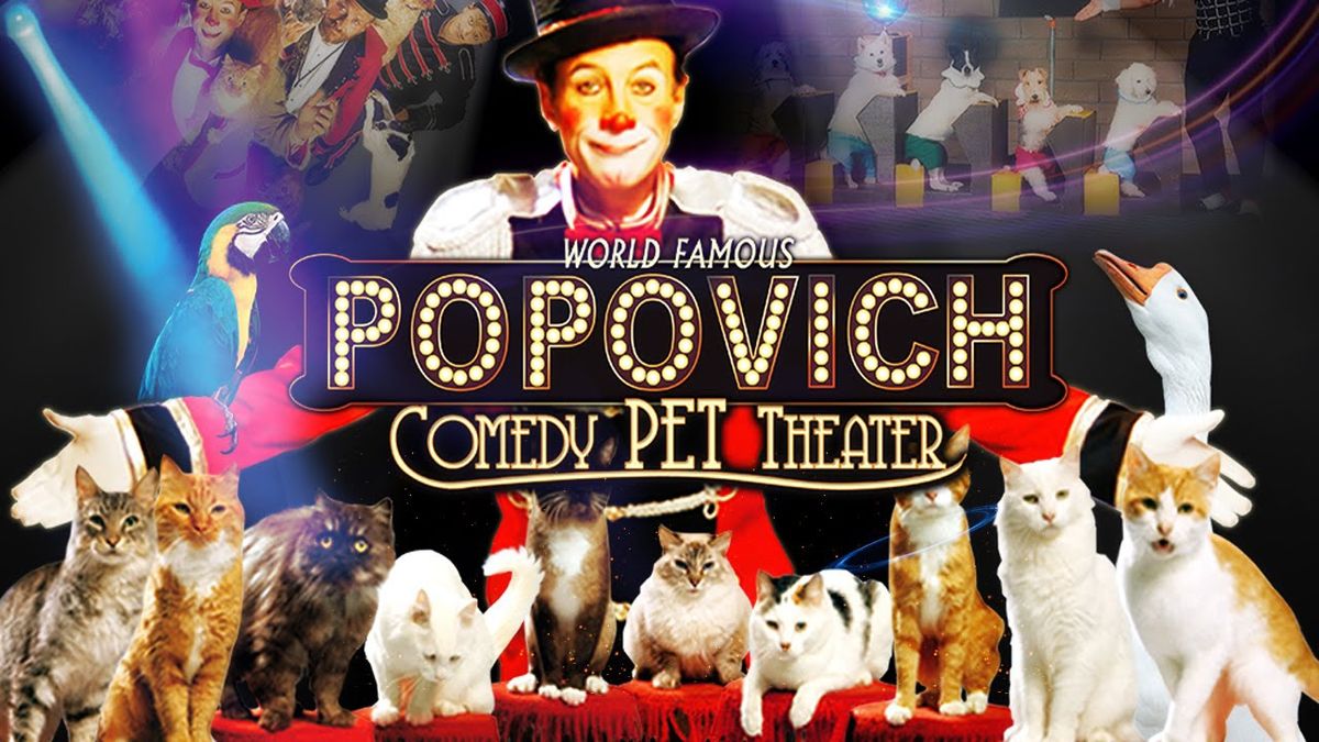 Popovich Comedy Pet Theater at V1 V Theater - Planet Hollywood Resort & Casino, Las Vegas, NV