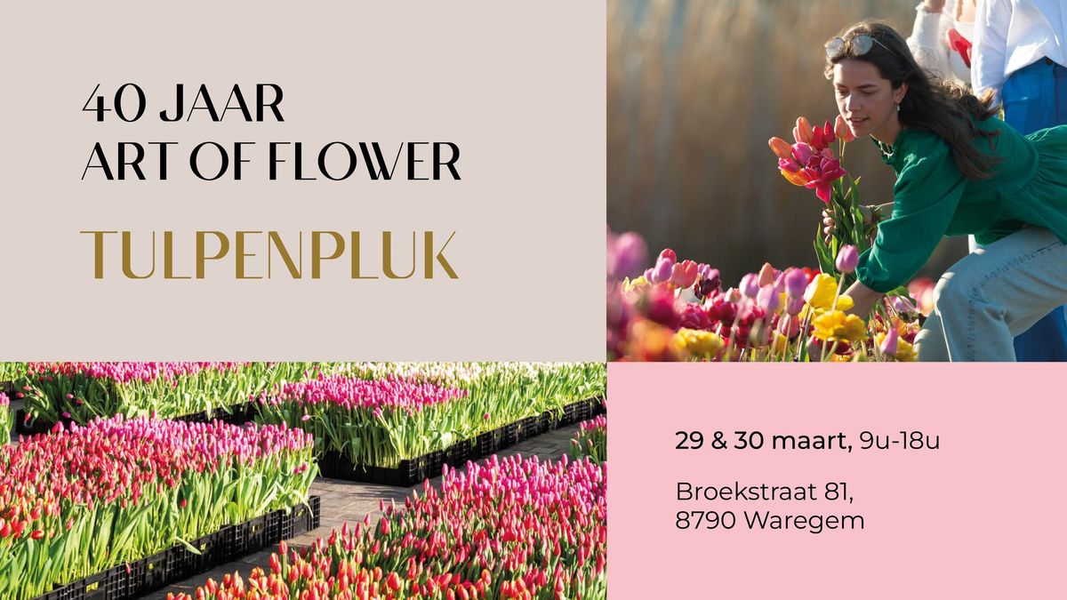 40 jaar Art of flower - Tulpenpluk