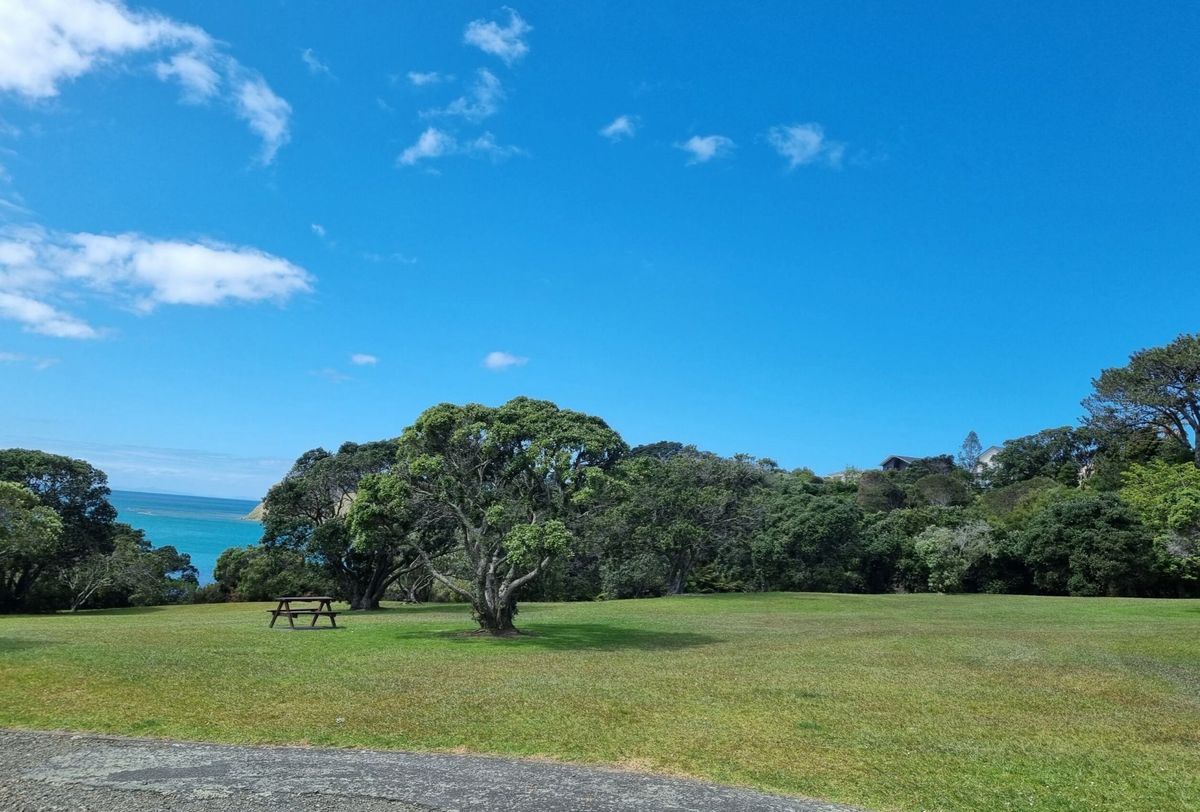 Pacific Parade Coastal Reserve - Volunteer Restoration Morning