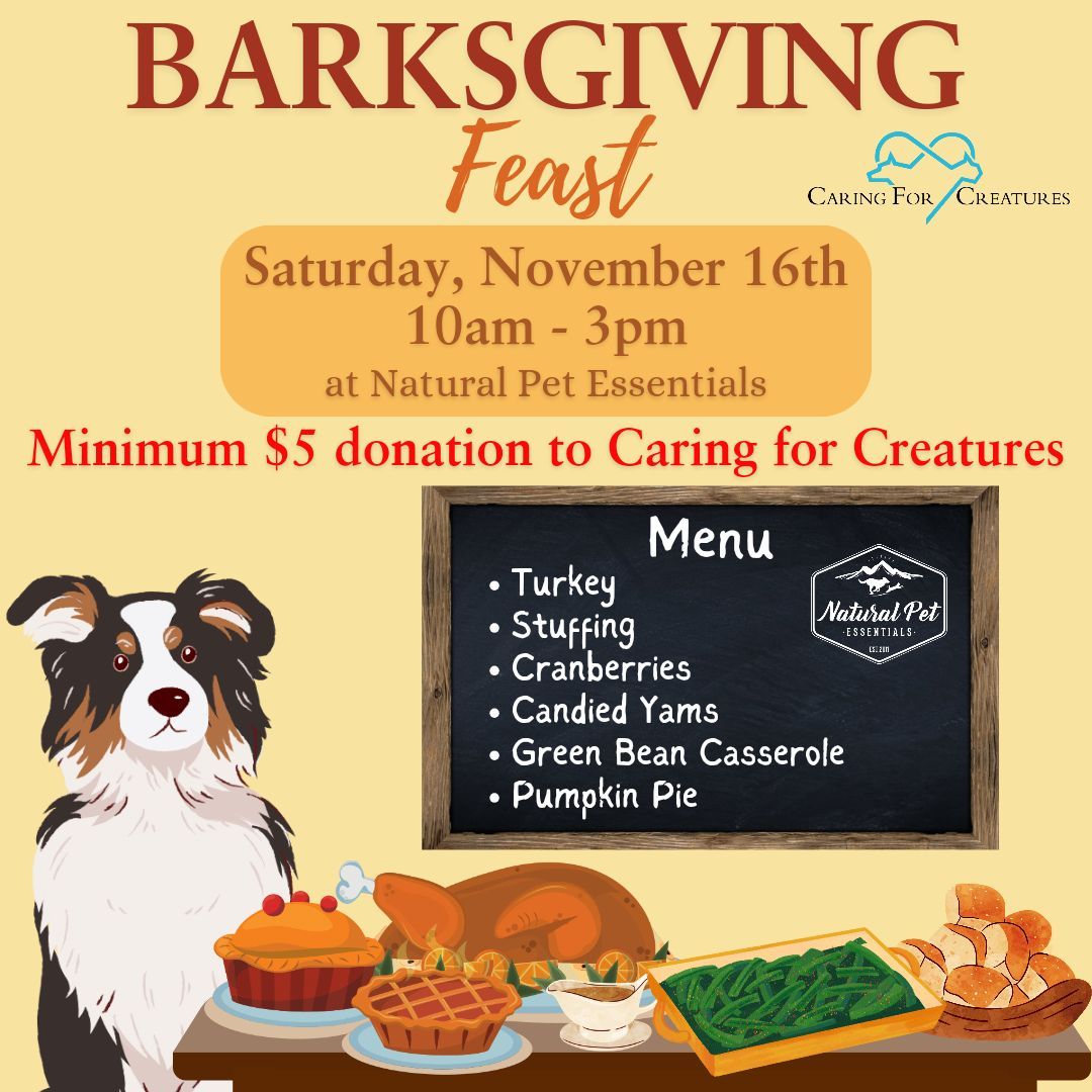 Barksgiving Feast