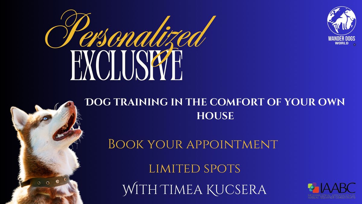 Private sessions with Timea Kucsera