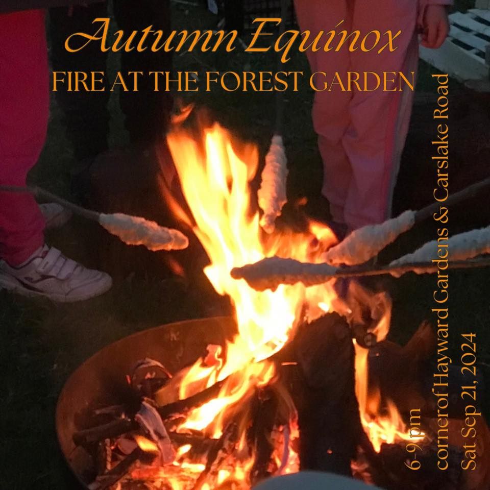 Autumn Equinox Fire