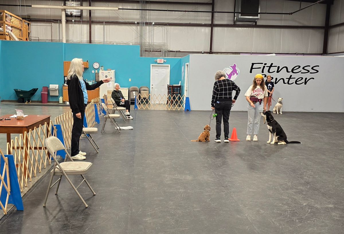 Beginner Obedience Class