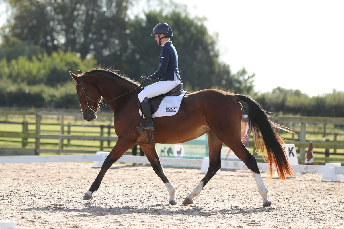 Unaffiliated Winter Dressage League.