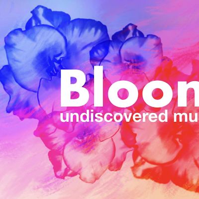 Bloom Music Collective