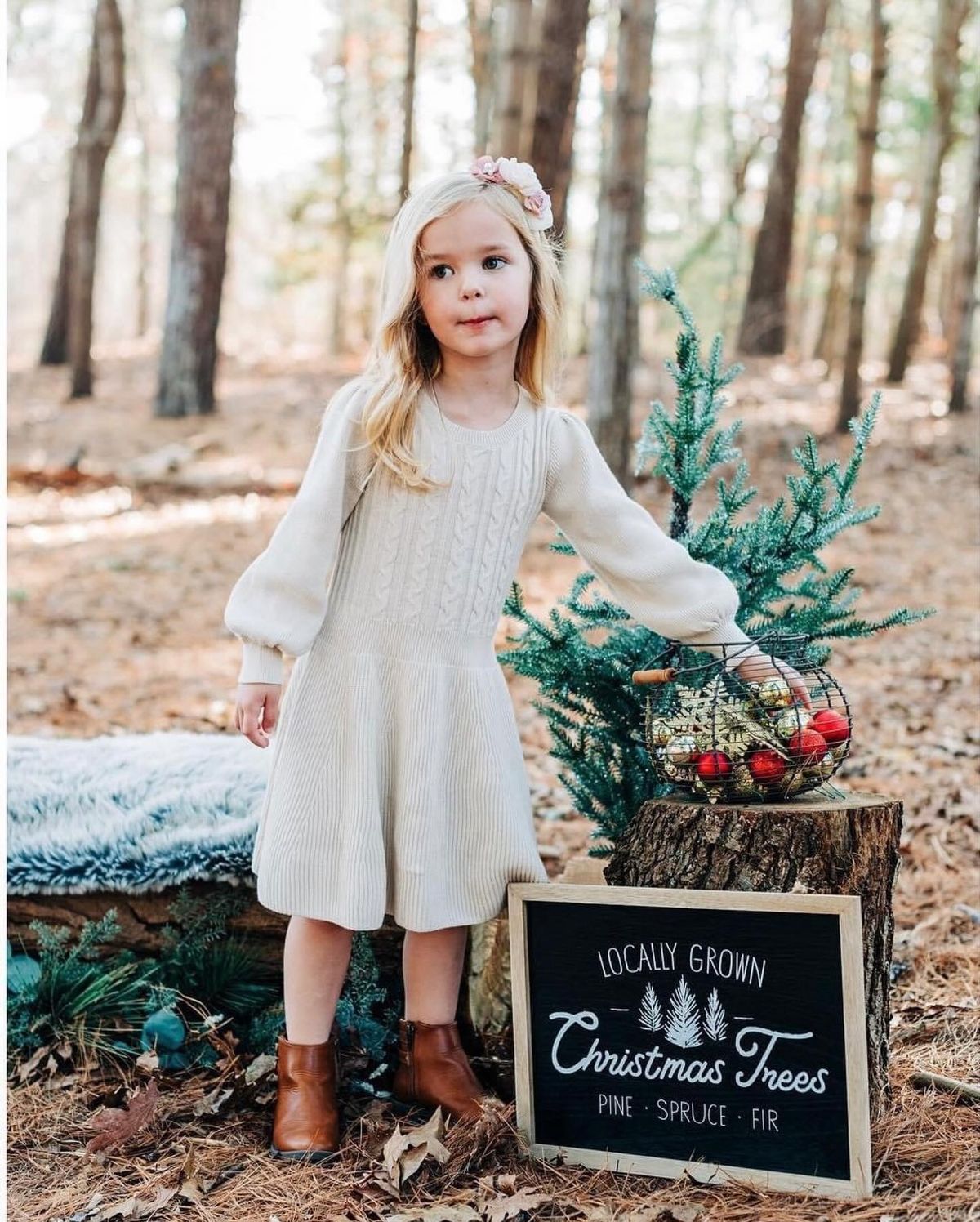 Mini Prop Holiday Sessions