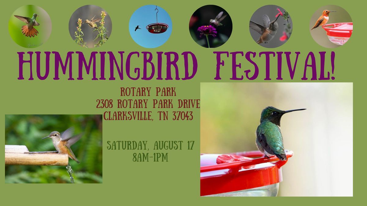 Hummingbird Festival!