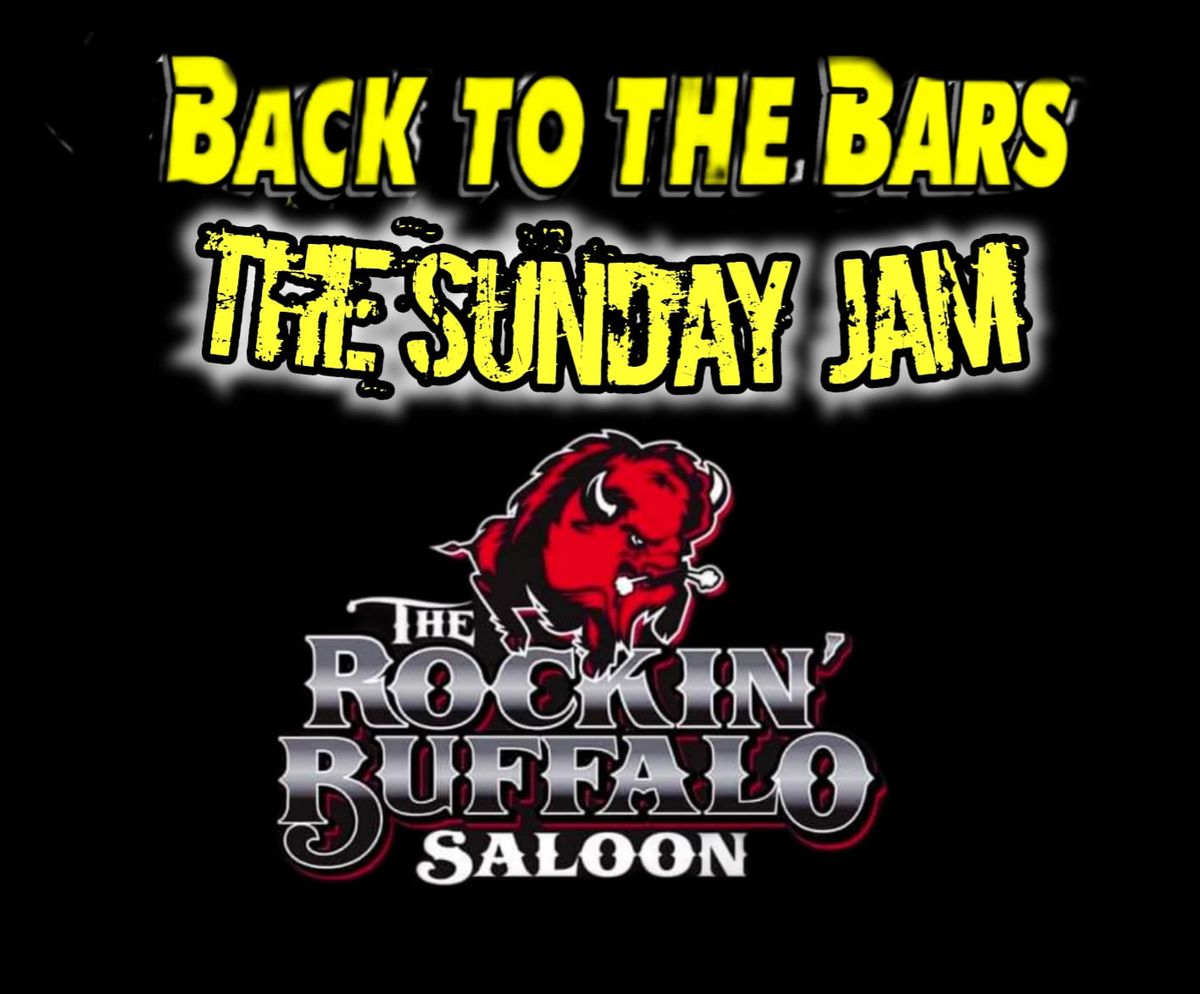 BACK TO THE BARS        "THE SUNDAY JAM"           18TH YEAR??? ANNIVERSARY          CELEBTRATION