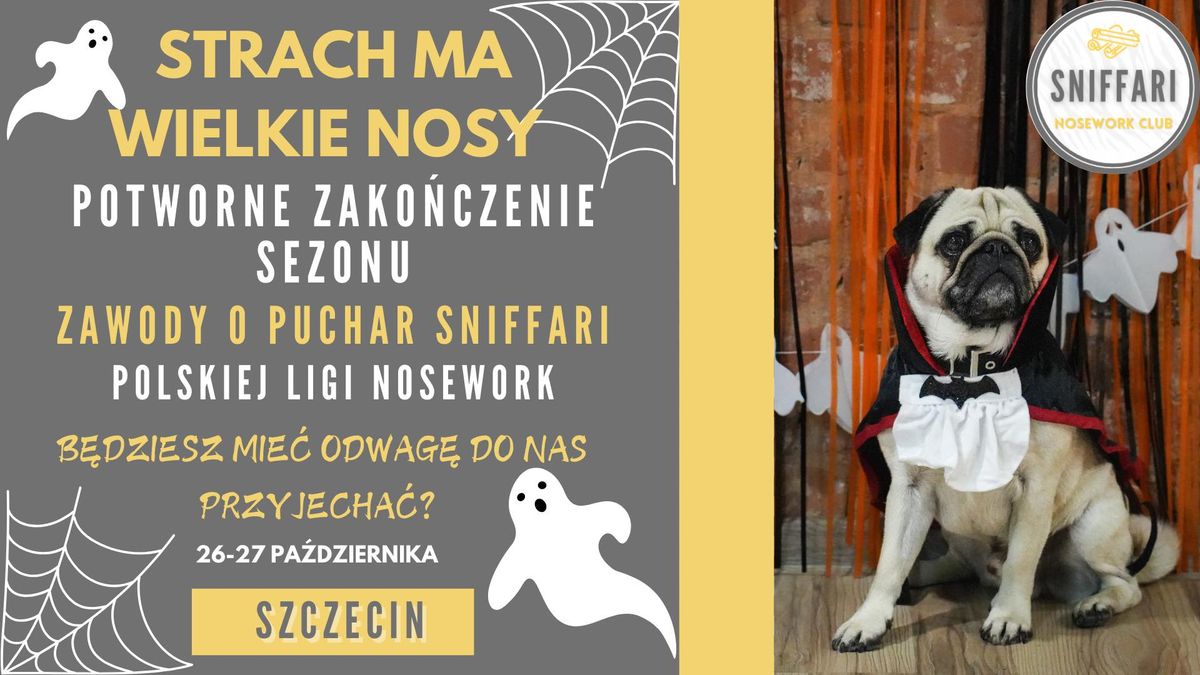 Zawody o Puchar Sniffari Polskiej Ligi Nosework w Szczecinie