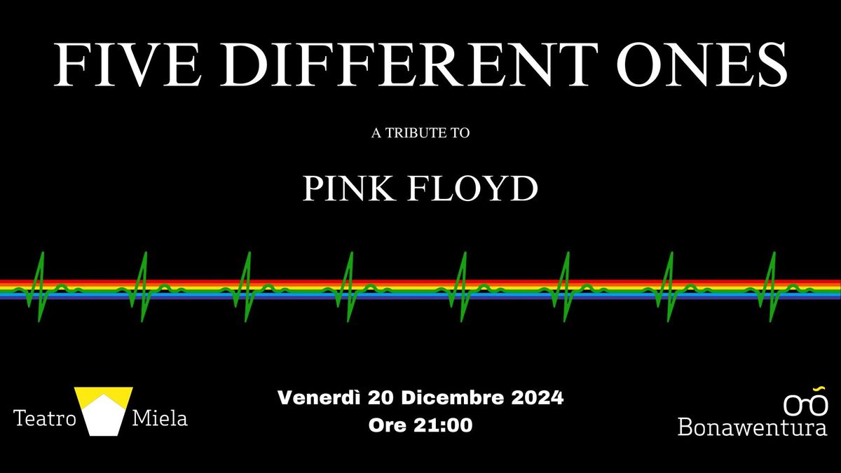 Five Different Ones - a Tribute to Pink Floyd