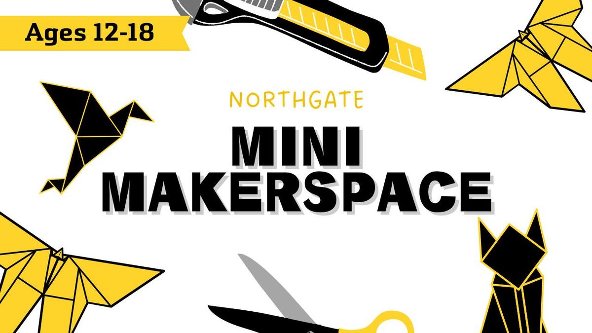 Mini Maker Space: Origami\/Papercrafts(Ages 12-18)