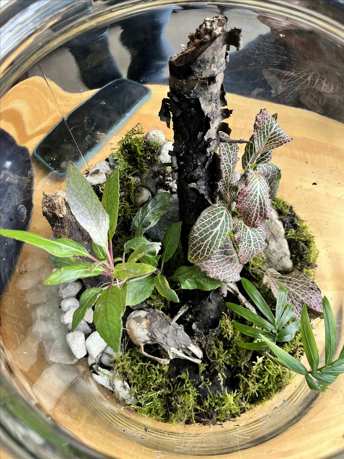 Terrarium Building Workshop