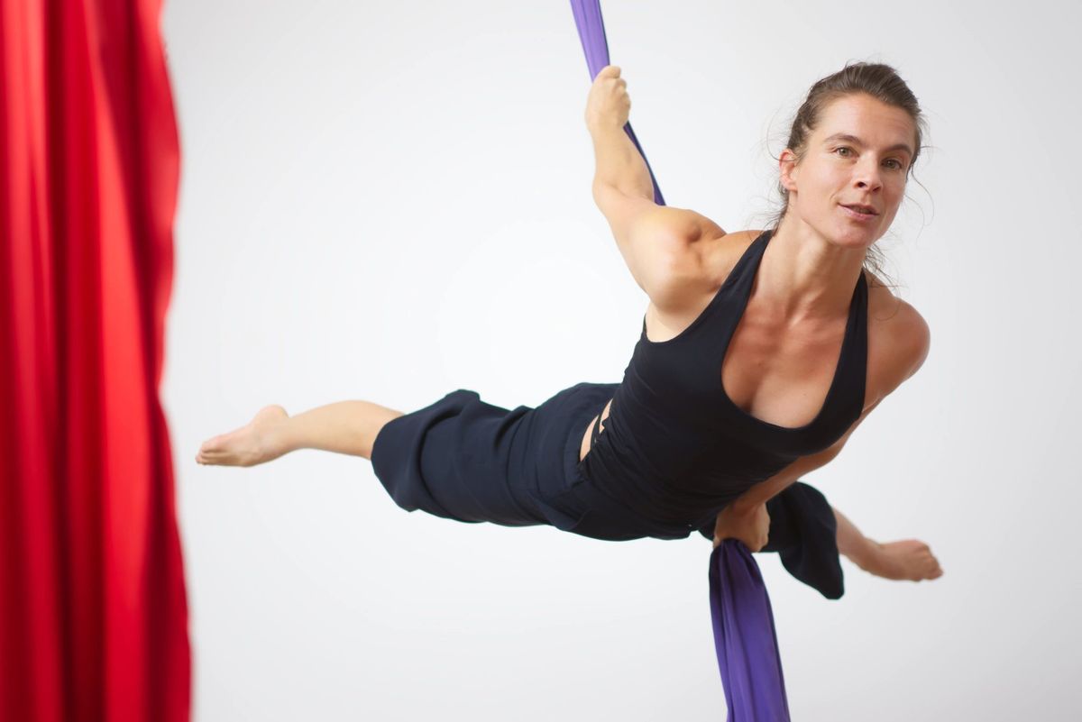 Aerial Silks and Aerial Workout Workshop