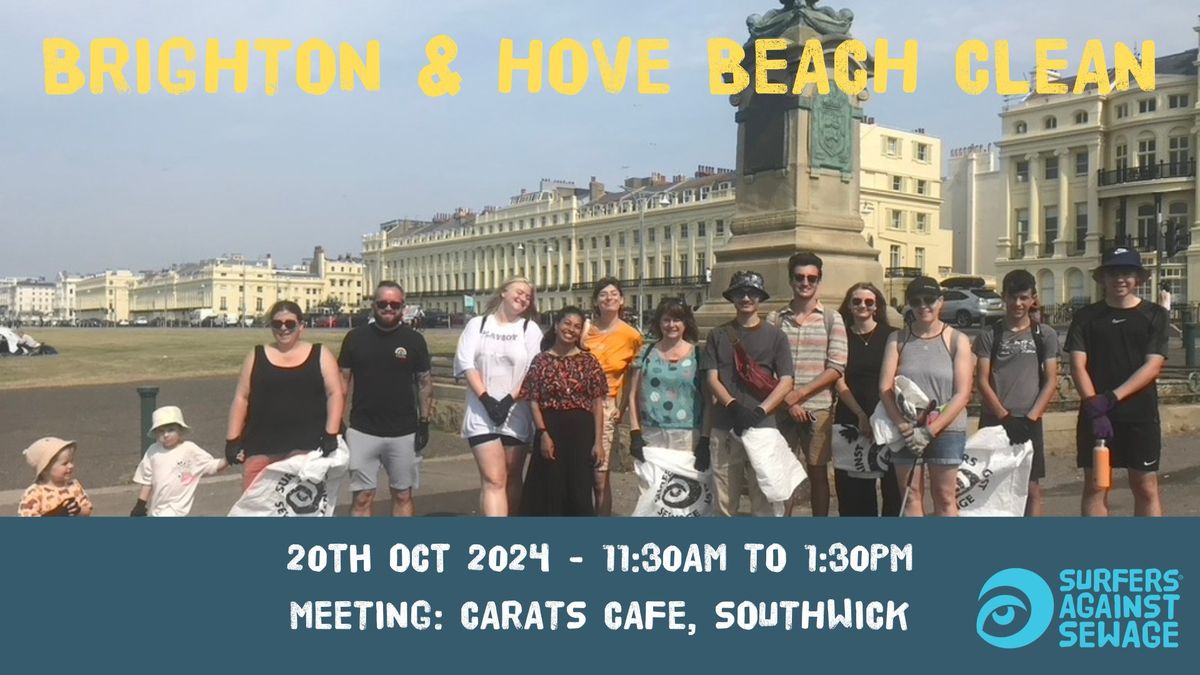 Brighton and Hove SAS beach clean