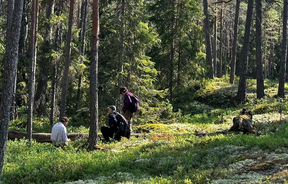 Att skydda skog - del 3 