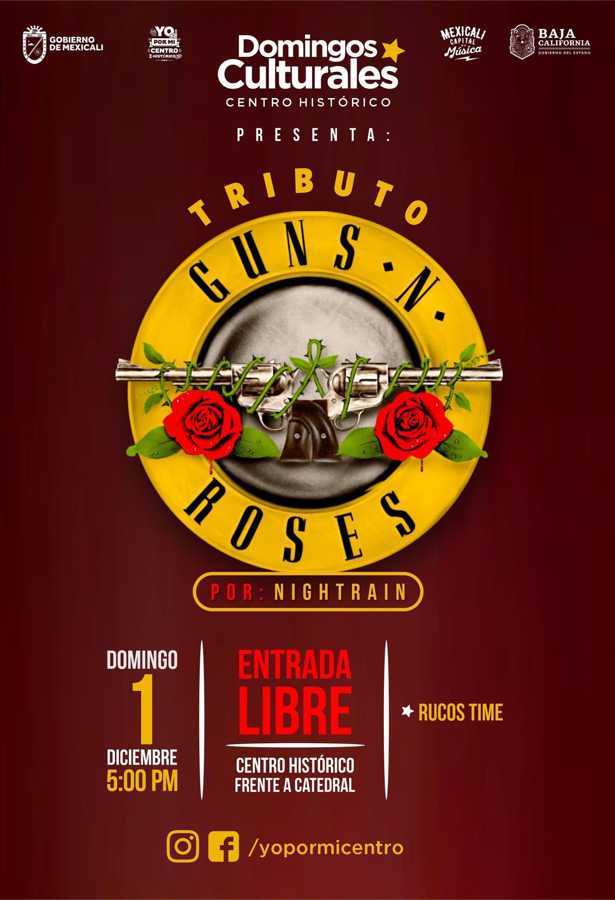 Domingos Culturales: Tributo a Guns N' Roses