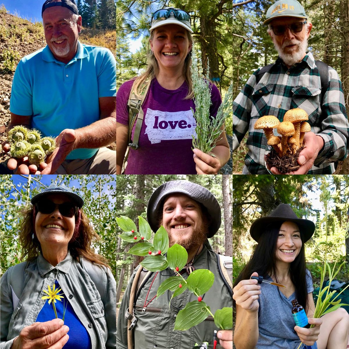 Edible & Medicinal Plants of the Wasatch Mountains: Seasonal Herb Walk (Salt Lake City Area)