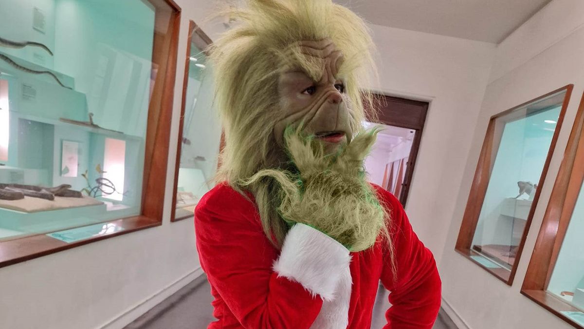 The Grinch visits Mermaid Quay this December