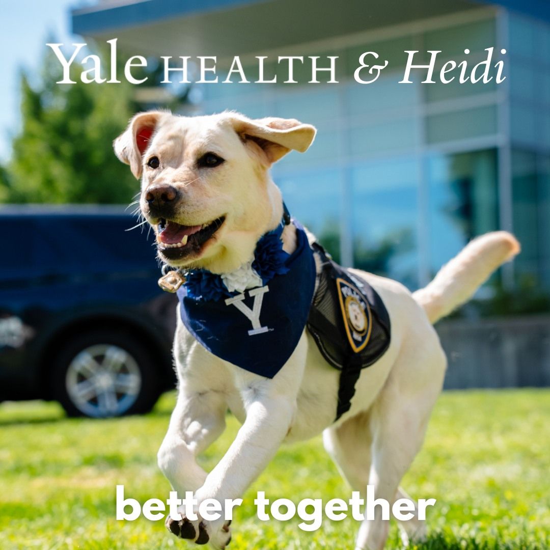 Yale Health & Heidi are better together!