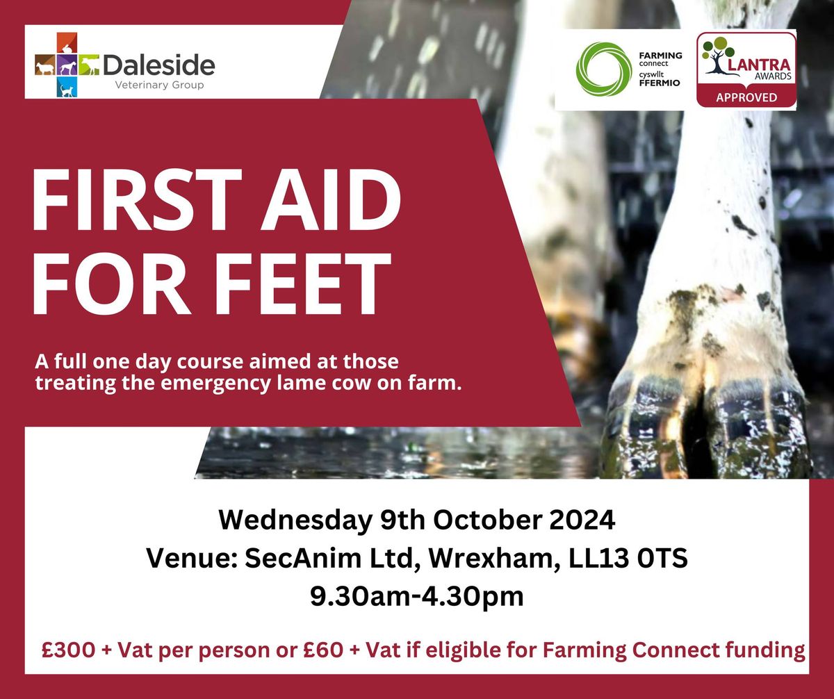 FIRST AID FOR FEET in conjunction with Daleside Farm Vets and Sulwyn Jenkins