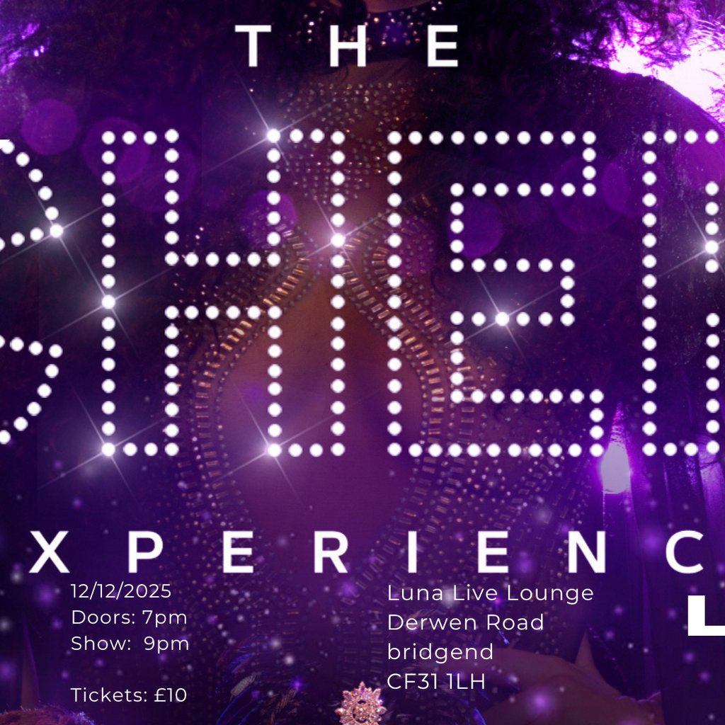 The Cher Experience