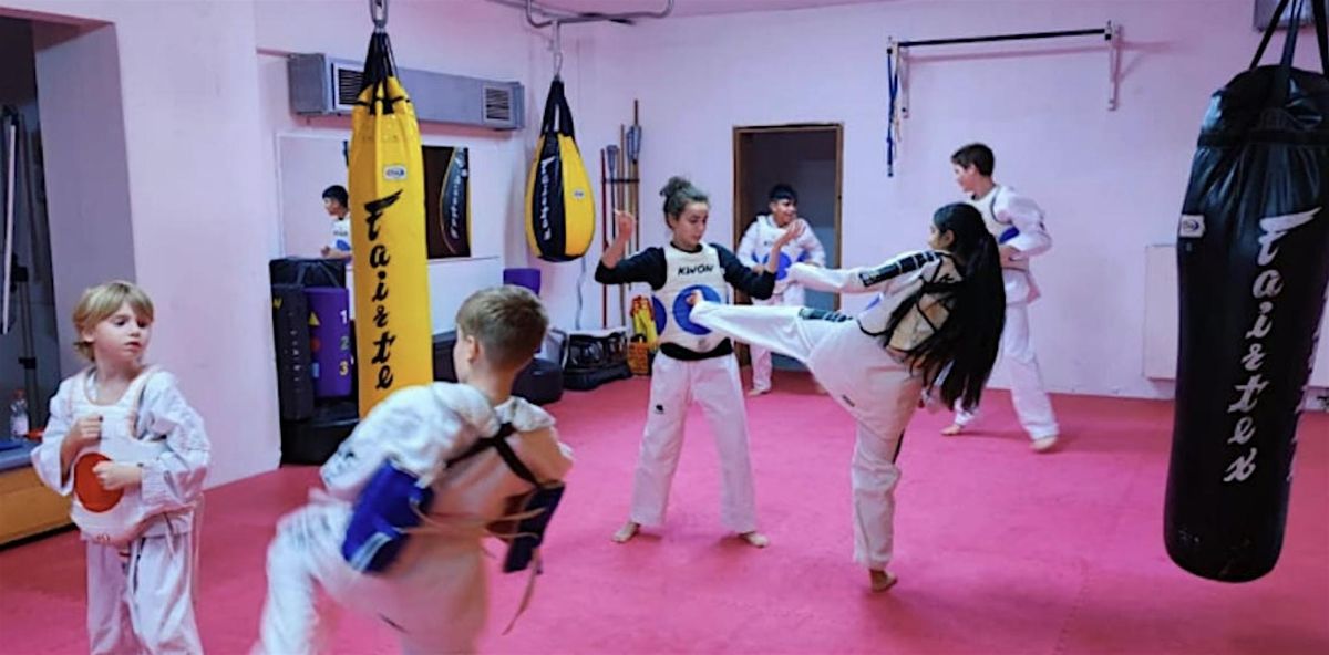 Probetraining "olympisches Taekwondo" ab 8 Jahre